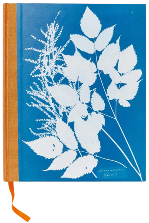 A hardcover notebook featuring a blue cover with a white botanical leaf illustration and a tan spine, with an orange ribbon bookmark hanging from the bottom left.