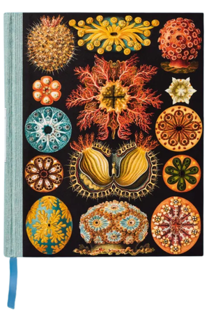 A hardcover notebook featuring a vintage scientific illustration cover with various colorful sea urchin and coral-like patterns on a black background, with a light blue-green spine and a blue ribbon bookmark.