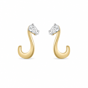 Nova Pair Of Earrings