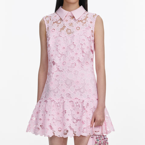 Lace Collared Mini Dress