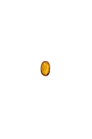 Citrine November Birthstone Charm