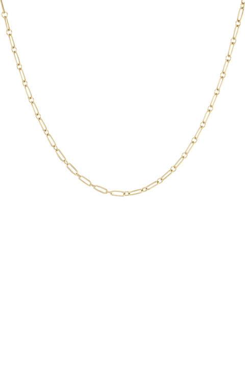 Petite Multi Link Chain