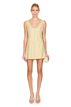Elaiza Mini Dress