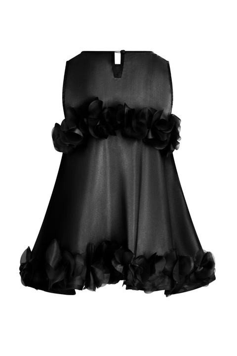 Back view ghost image of sheer black tank top with ruffle across the bust and hem. 