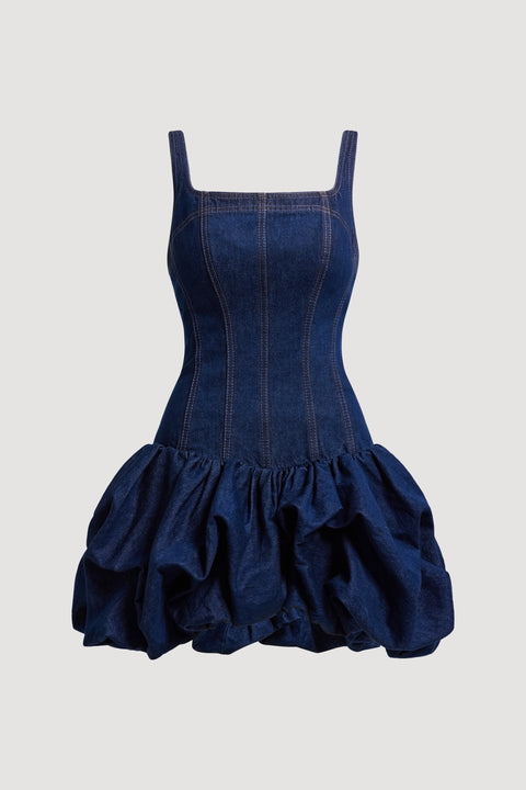 Briar Denim Mini Dress