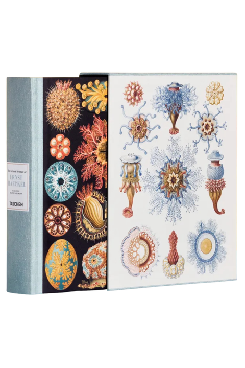 A hardcover book titled 'The Art and Science of Ernst Haeckel' by Taschen, featuring a detailed scientific illustration cover with various colorful marine life specimens on a white background.