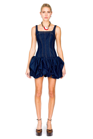 Briar Denim Mini Dress