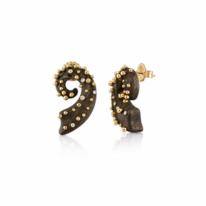 Carved Walnut Spiral Earrings