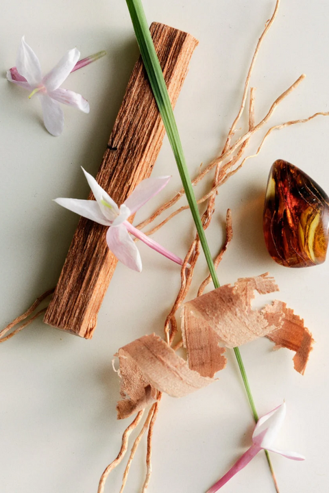 A styled flat-lay featuring a natural brown wood stick, pale pink orchid flowers, curled tan bark, a long green stem, and a polished amber-colored stone on a light neutral background.