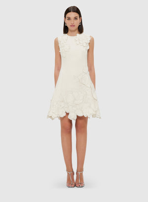 Chloe Applique Sleeveless Mini Dress