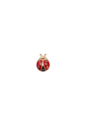 Ladybird Charm